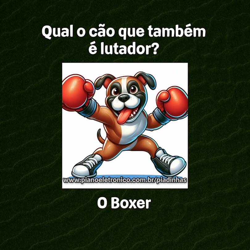 Qual o cão que também é lutador?

O Boxer